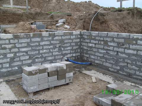 ROSNIE PIWNICA:)WIDOK Z PIWNICY:)