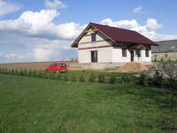 posadzilismy troche tuj