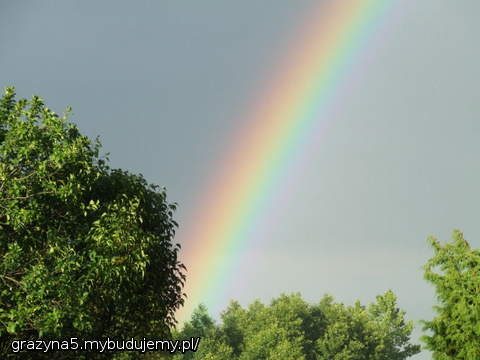 tęcza