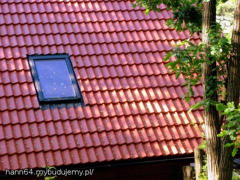 Moje śmieciuchy, akacje, już w akcji.