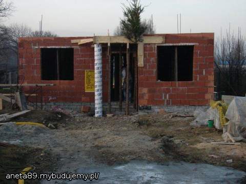 MOJKA 1 JEDNA CHOINKA MNIEJ NA DZIAŁCE :)