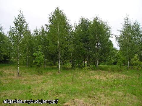 2000m2 mojego miejsca na ziemi