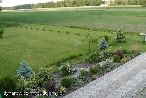 Roślinki przy podjeździe - jeszcze małe...