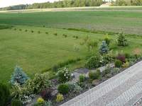 Roślinki przy podjeździe - jeszcze małe...