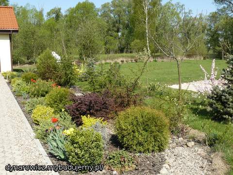 Przy podjeździe - ciągle rosną :)