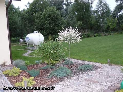 Przy garażu - początki :)