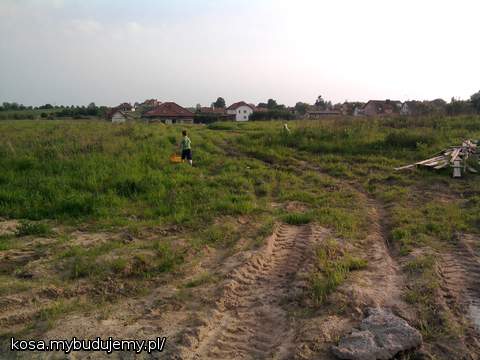 mlody poszeedl po piasek