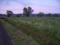 działka przed budową