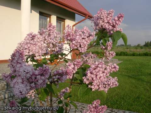jeden mały bez a ile radości:)