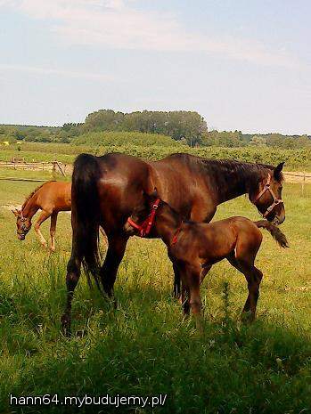 Najmłodszy w rodzinie...