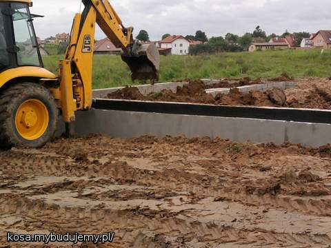 ukladanie ziemi lycha w salonie:)