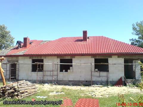 krycie dobiega końca....