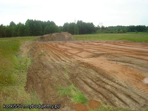 Nawieziony piasek i wyrównany 24-06-2010.