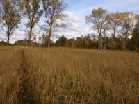 Podobno kiedyś mam tu zamieszkać.