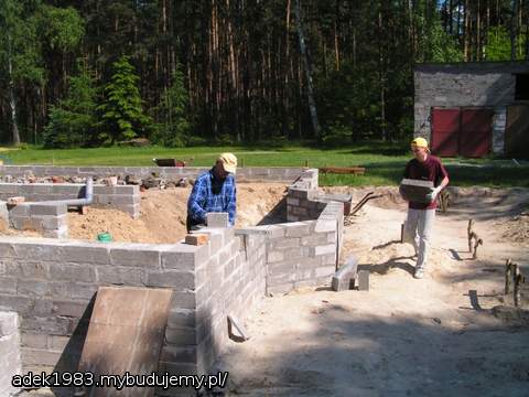 Jeszcze tylko wykusz...