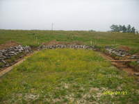 W STAJNI UROSŁO TROCHE KWIATKÓW DO POZARCIA  PRZEZ KONIE;)HEHEH