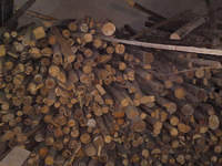 stemple - do wyboru do koloru