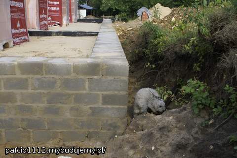 naszej córci wszędzie pełno