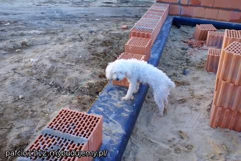 piony i poziomy to jej dzialka