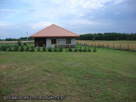 tył Bursztyn gl 315