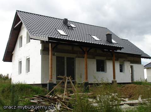 wrzesień 2010: niby piach a jednak coś tu rośnie :)