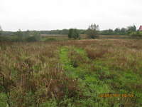 rzut oka na działkę