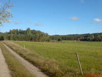 W taki krajobraz wkomponowałem domek z projektu Chatka Puchatka