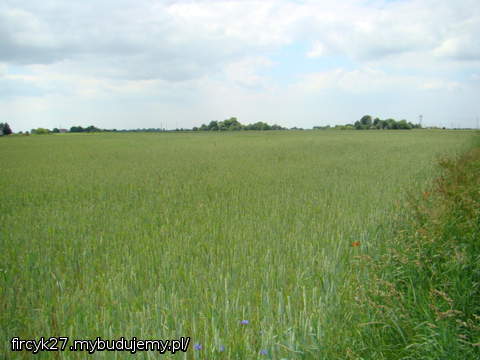 Działka na której stanie nasz domek