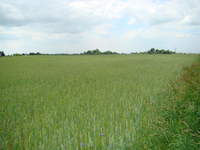 Działka na której stanie nasz domek