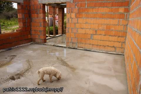 salon, widok na werandę.