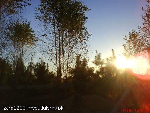 świateł gra jesienna