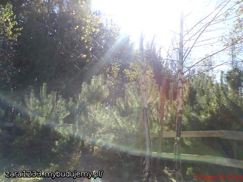 jesienne słońce w słońcu