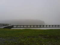 Tak wygląda jesienne jezioro w mojej przyszłej miejscowości.