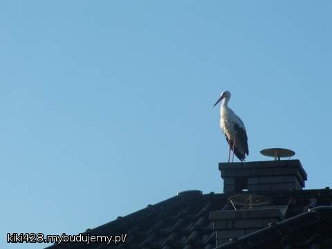 kumpel na kominie ha ha