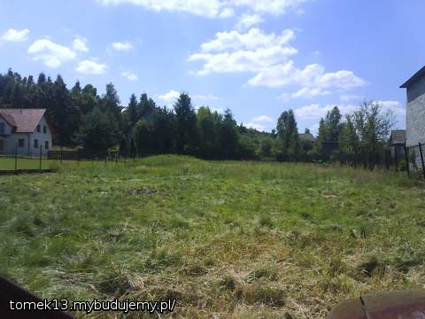 przed wizytą kosiarki