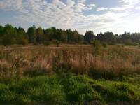 wytyczenie granic działki