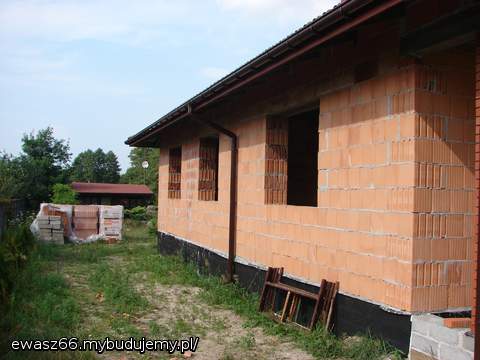 Elewacja zachodnia i letni w tle.