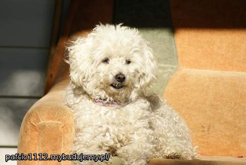 nasza córcia. Robota na budowie jest na etapie zalany strop i schody. fotki wkleję jak tylko wysępię od naszego 