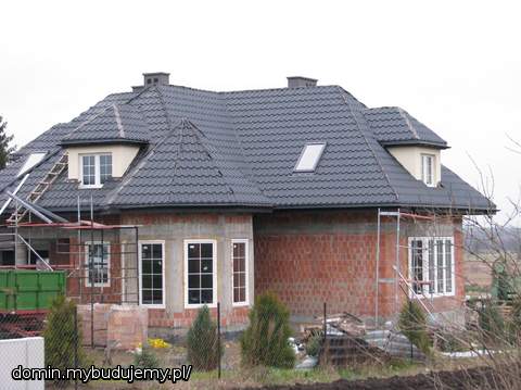 BLACHODACHÓWKA PERŁA CZARNY MAT