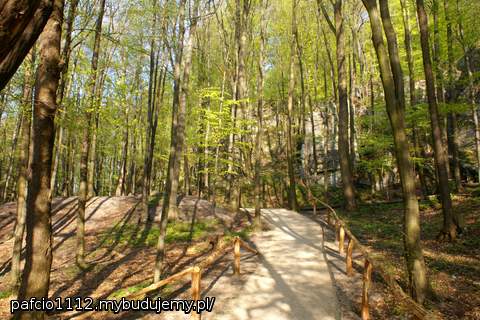 staw zielony, w pobliżu źródełko spełnionych marzeń. urocze miejsce