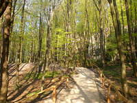 staw zielony, w pobliżu źródełko spełnionych marzeń. urocze miejsce