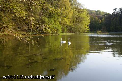 upierdliwe labęzdie