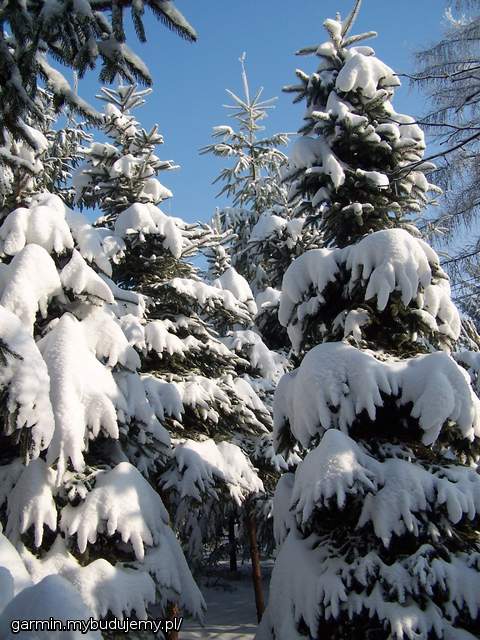 Jak się to mówi-za miedzą.