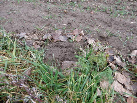 Tak na początek. Widok z bkiska na naszą glebę:).