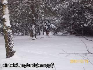 widok z okna