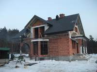 lubczyk nabiera wyglądu