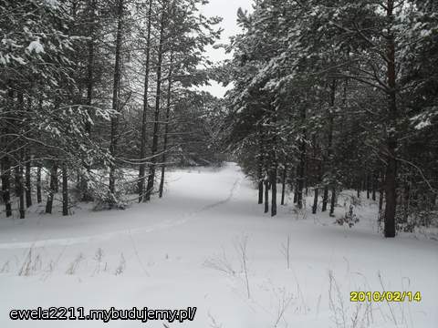 Droga do naszego domku :)