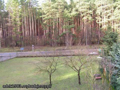 A tak wygląda nasza działka z okna na poddaszu.