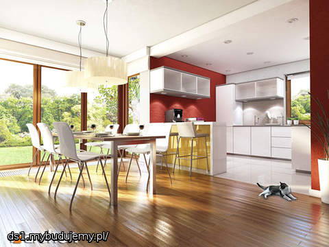 Wizualizacja Domu w tamaryszkach 2(N) według pracowni ARCHON+