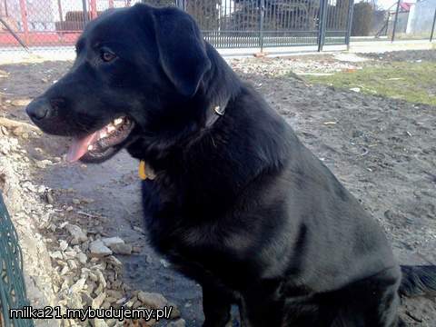 to jest ten nasz wielki obrońca...